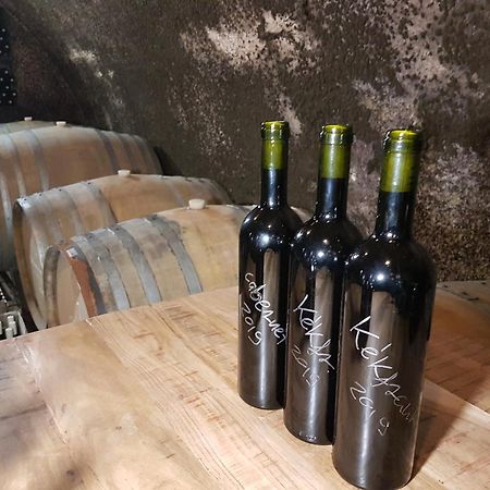 Grand Cru 3. Vendeghaz Βίλα Hegymagas Εξωτερικό φωτογραφία