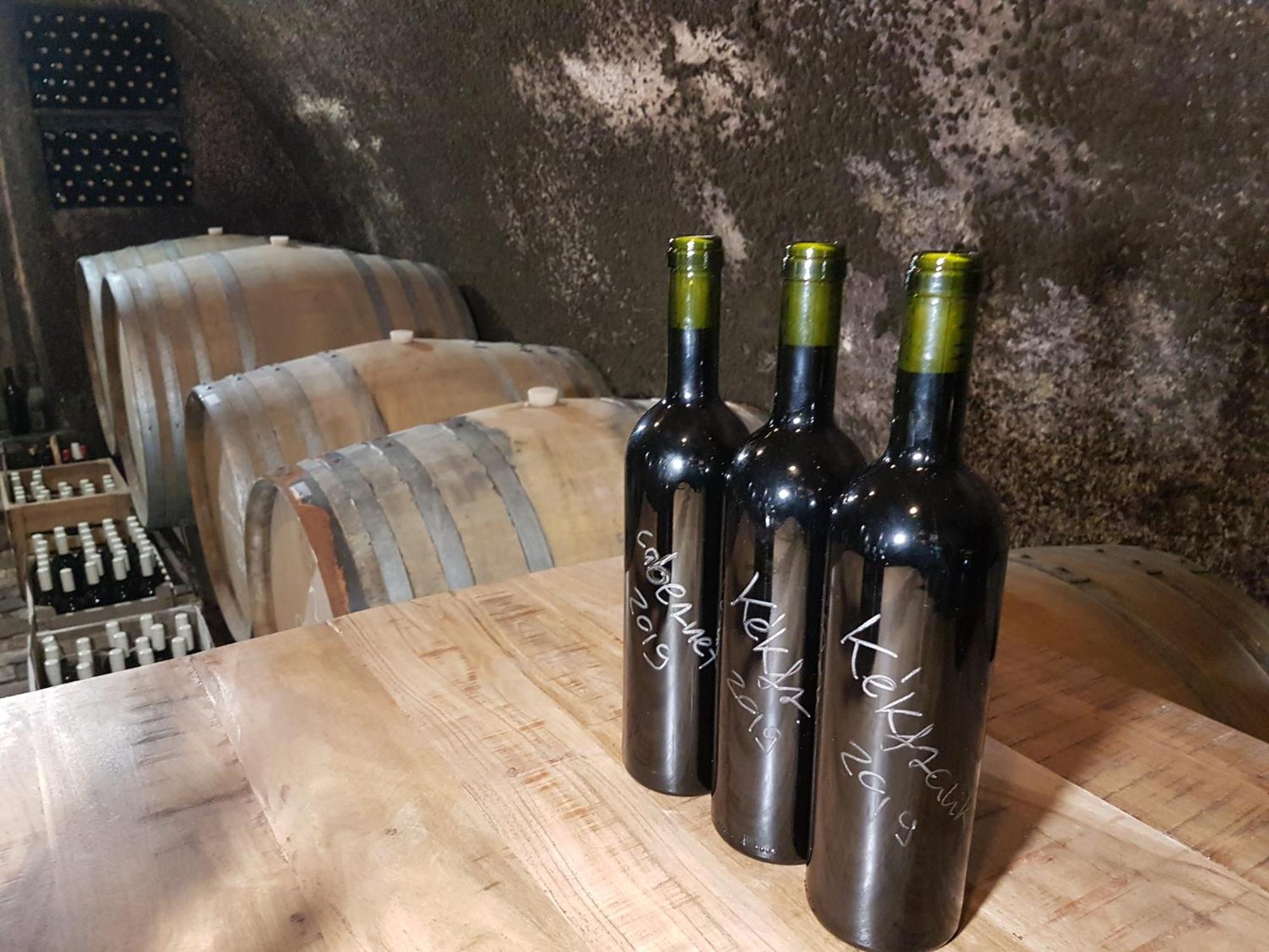 Grand Cru 3. Vendeghaz Βίλα Hegymagas Εξωτερικό φωτογραφία