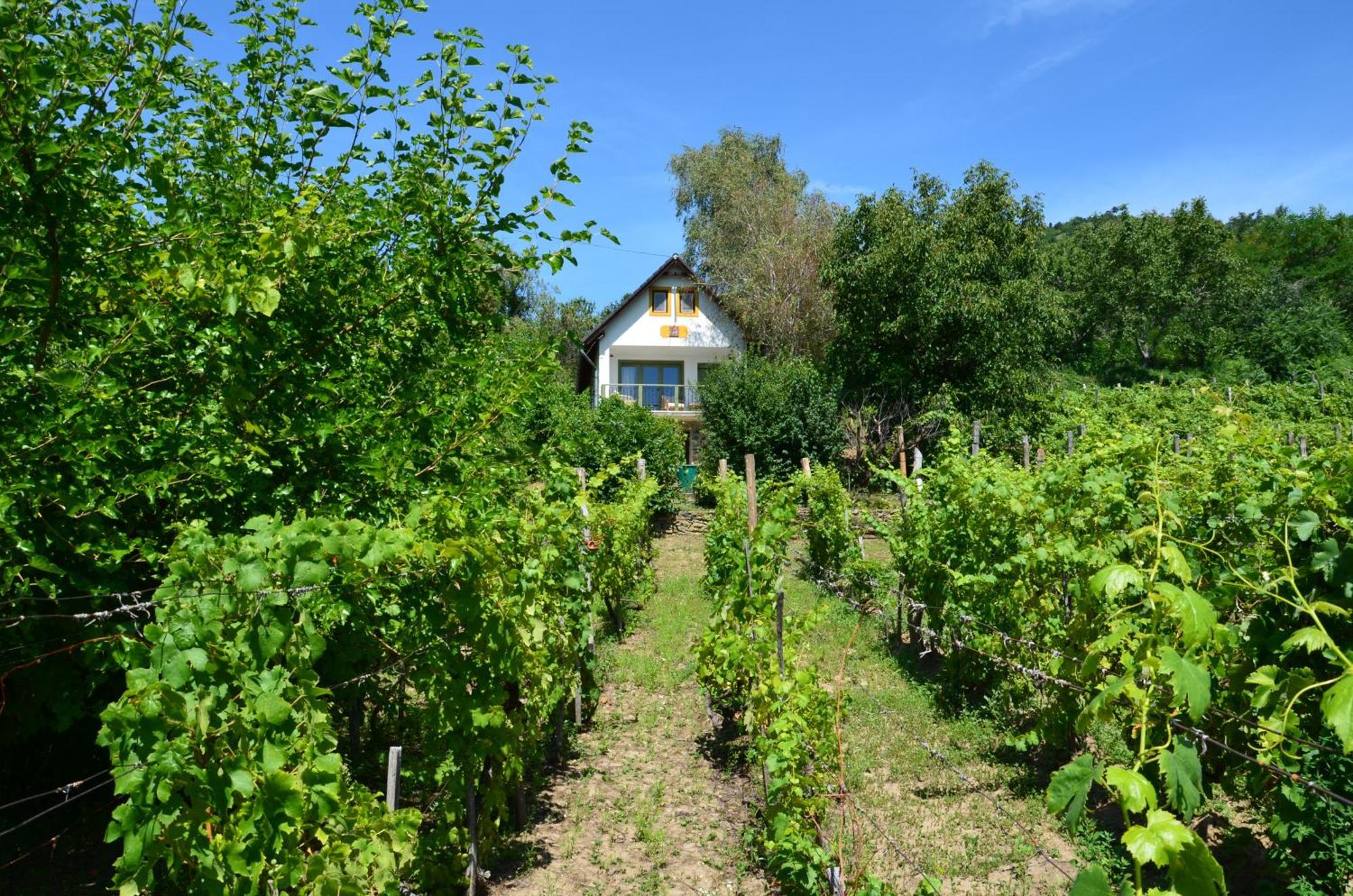 Grand Cru 3. Vendeghaz Βίλα Hegymagas Εξωτερικό φωτογραφία